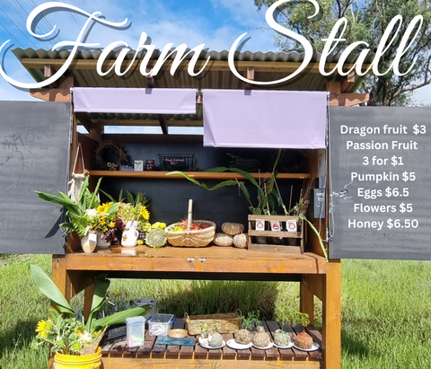 Farmstand Rare Dragonfruit