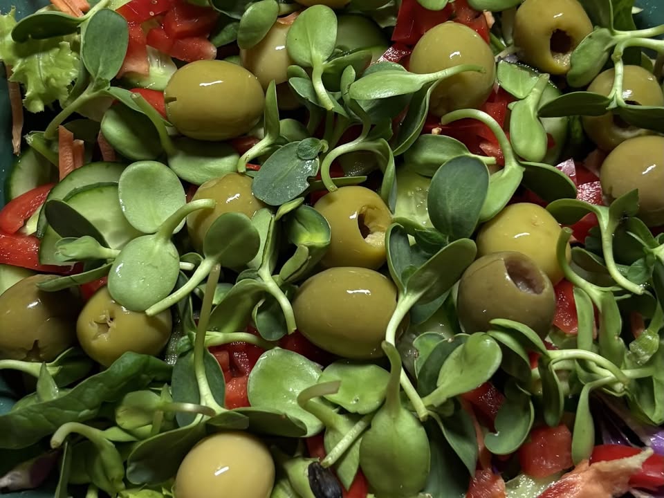 Green Door Farms Photo1